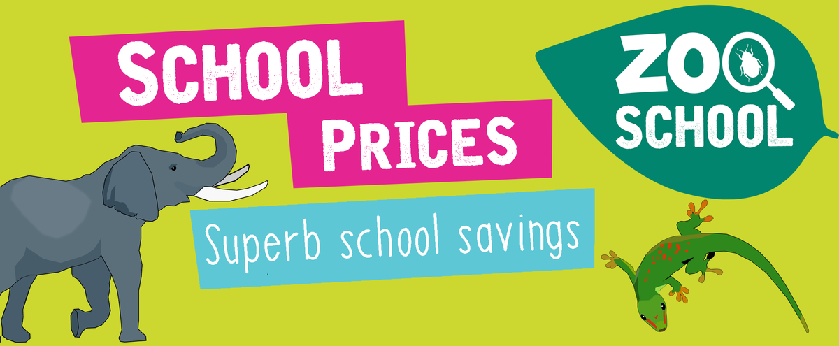 School Prices.png School Prices, Superb school savings