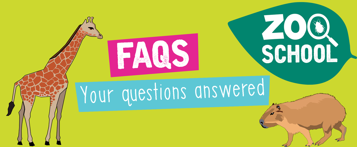 FAQs Your questions answered