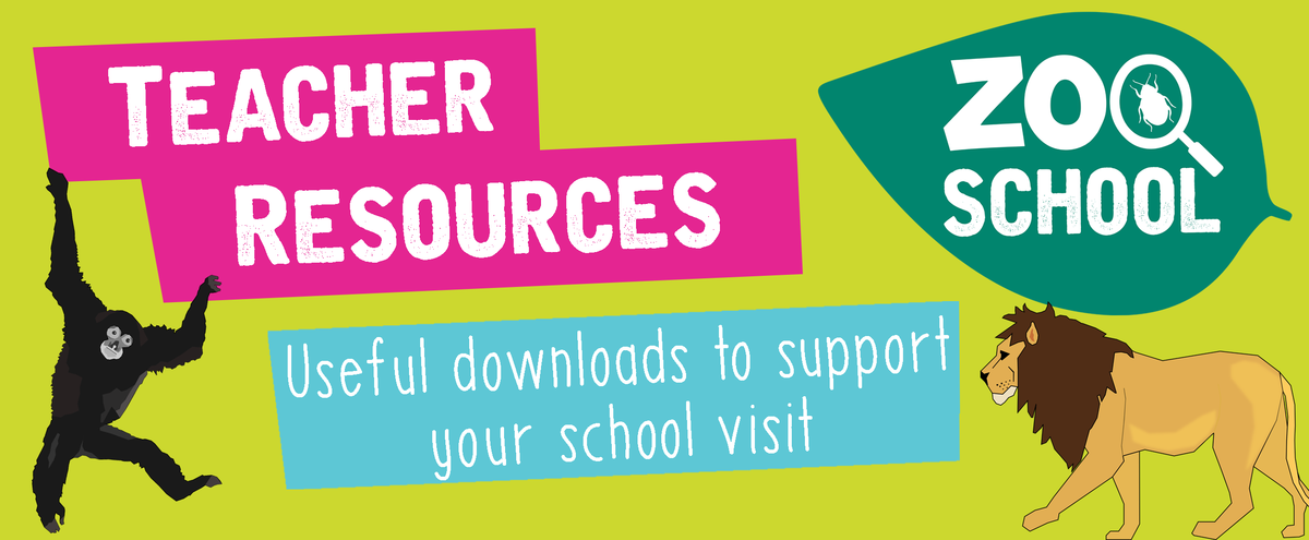 Teacher Resources