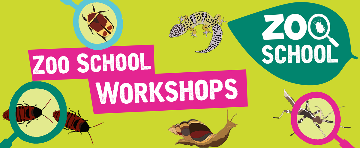 Workshops