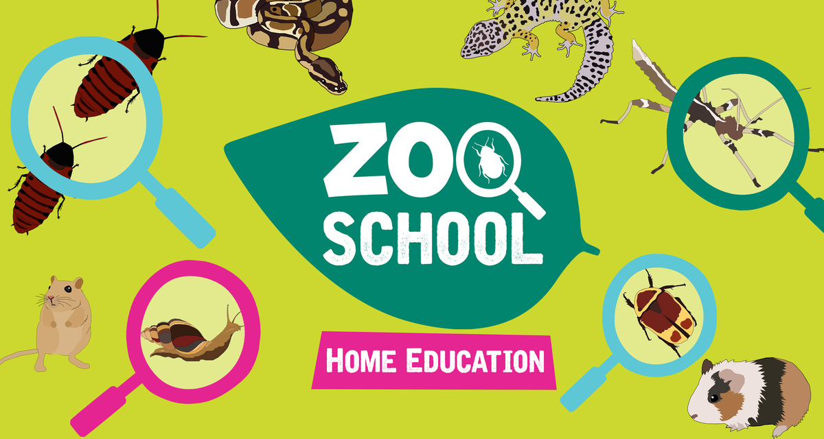 Zoo School Banner.jpg Home Education Banner