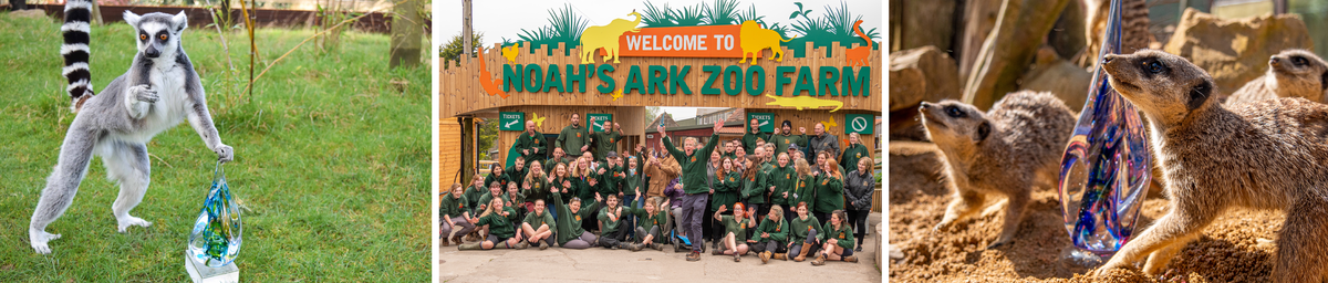 Awards photos for web.png Animals and Staff with Awards