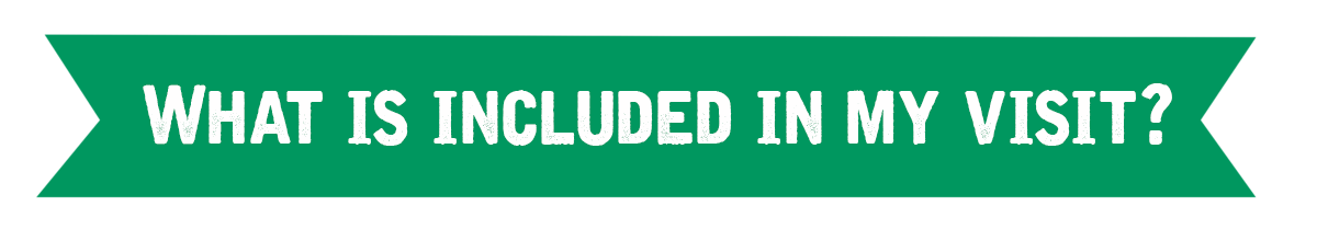 ele parade what is included.png