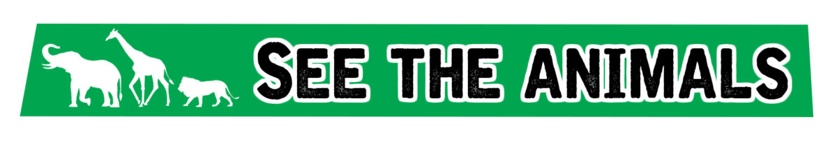 See the animals See the animals