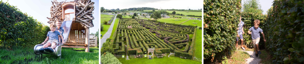 The Great British Wildlife Maze The Great British Wildlife Maze, Slide and Arial View
