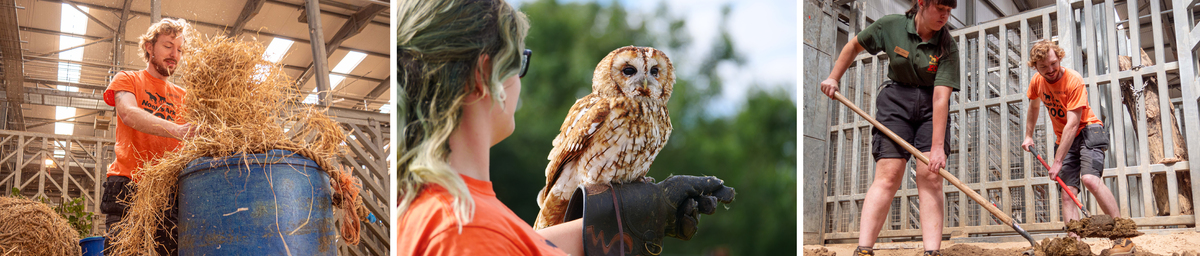 Students completing work experience and volunteering tasks at Noah's Ark Zoo Farm