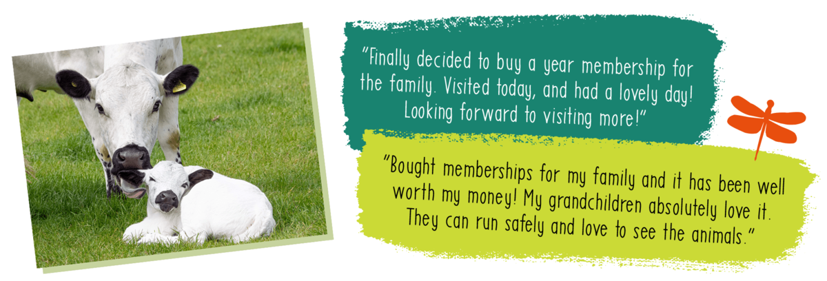 Membership quotes-min.png “Finally decided to buy a year membership for the family. Visited today, and had a lovely day! Looking forward to visiting more!”