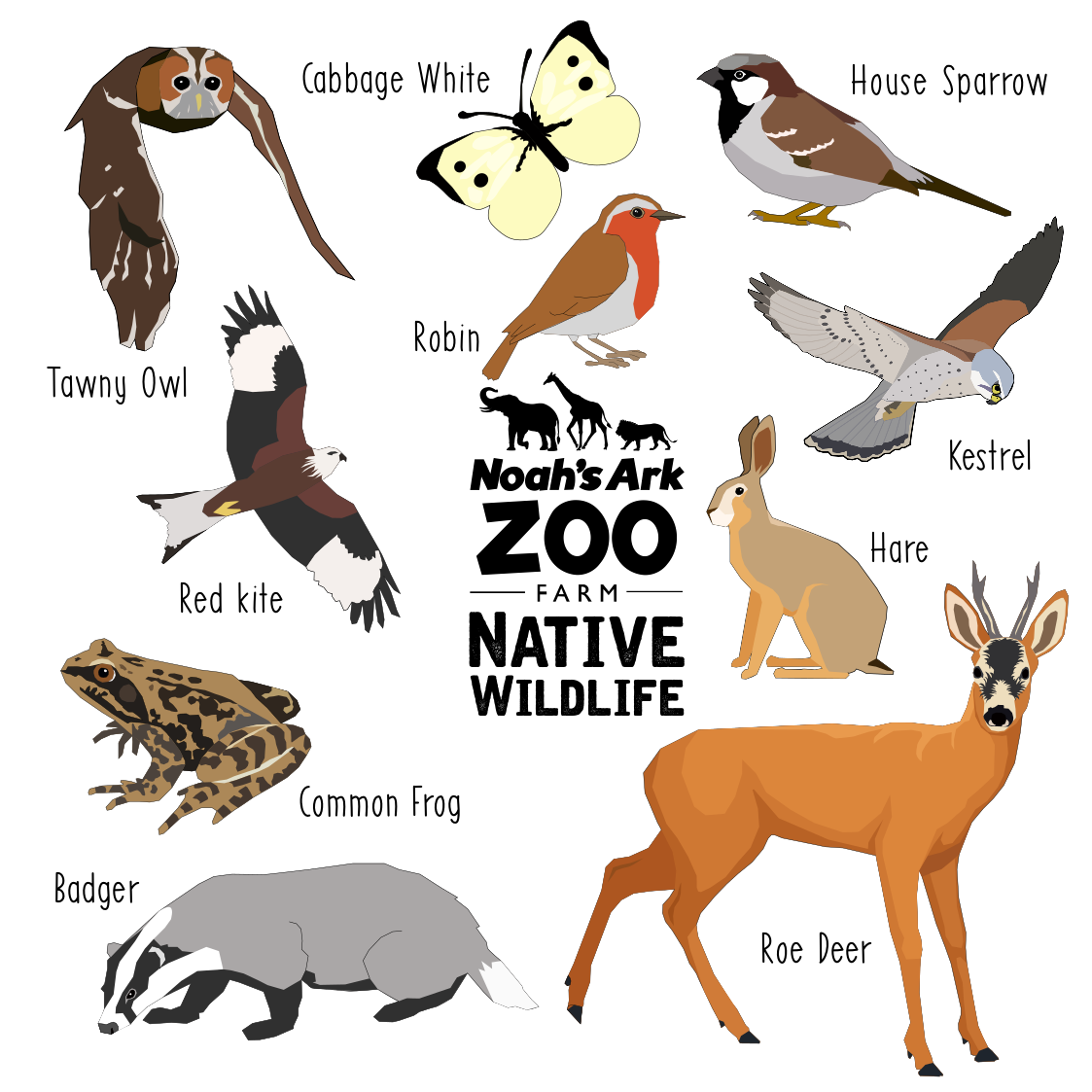 Native Wildlife images