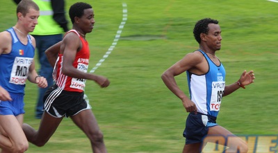 מוגס טסמה. סיים ראשון (נועם נאמן מוגס טסמה. סיים ראשון (נועם נאמן