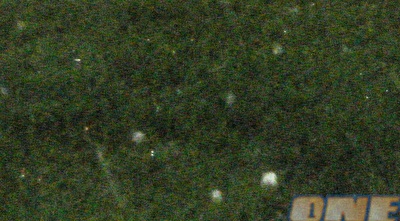 חתיכות ברד על הדשא (קובי ברדה, אתר הפועל ת&qout;א) 