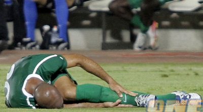 קטן על הדשא מול בוראץ. יראה את הגומלין מהארץ (יוסי ציפקיס) קטן על הדשא מול בוראץ. יראה את הגומלין מהארץ (יוסי ציפקיס)