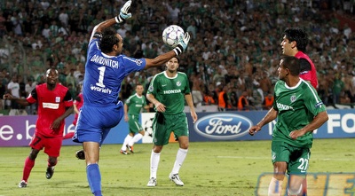 דווידוביץ´ קולט (יוסי ציפקיס)