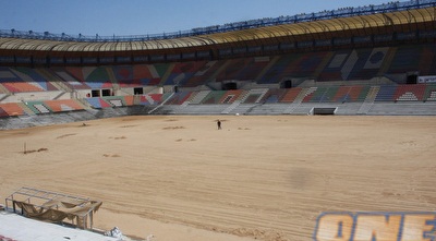 טדי (גיא בן זיו)