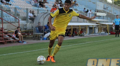 ידין זריס (מור שאולי)