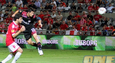 הראה נוגח לעבר השער (משה חרמון)