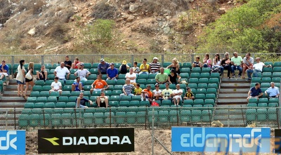 צופים (יניב גונן)