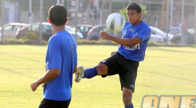 גארידו (יניב גונן)