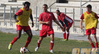 פידליס (עמית מצפה)