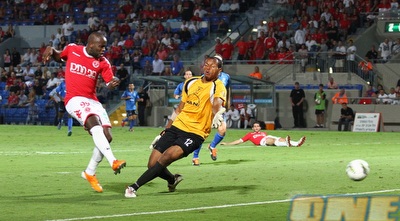 טוטו תמוז כובש (שי לוי)