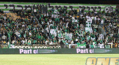 אוהדי מכבי חיפה (עמית מצפה)