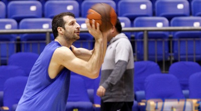 פפאלוקאס. אולי יחזור סוף סוף לעניינים (יוסי ציפקיס)