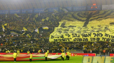 טדי (יניב גונן) טדי (יניב גונן)