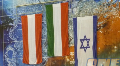 דגל ישראל מונף למעלה (איגוד השחייה)