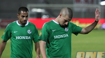 ורד (עמית מצפה)