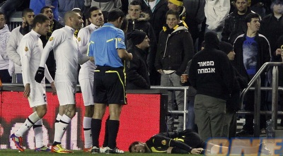 ריקן לאחר שדאבור פגע בו (יוסי ציפקיס)