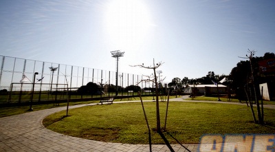 בית הנבחרות בשפיים (יוסי ציפקיס)