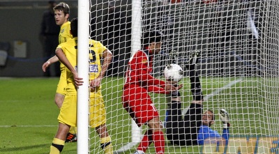 דמהו בשער, גם הכדור (יוסי ציפקיס)