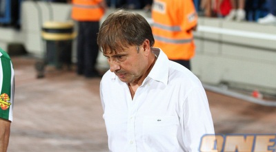 אלישע לוי. מעוניין במהראן ראדי (שי לוי)