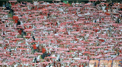 האוהים הפולנים (רויטרס)