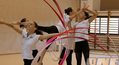 נבחרת ישאל בהתעמלות אומנותית (חגי ניזרי)