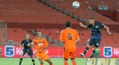 דאבור נוגח מעל השער של איינוגבה (משה חרמון)