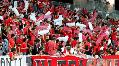 אוהדי הפועל ת&qout;א. הקבוצה תעמוד לדין (שי לוי) אוהדי הפועל ת&qout;א. הקבוצה תעמוד לדין (שי לוי)