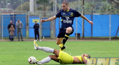 דשא חלק (יניב גונן)