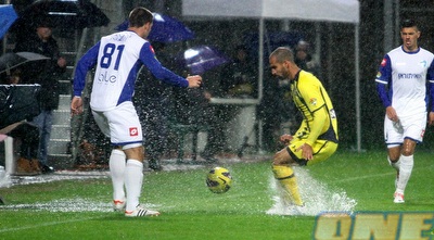 אלברמן ומטוביץ&acute; בין השלוליות (יניב גונן)