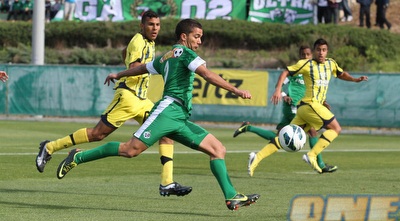 גוזלן מחפש את השער (עמית מצפה)