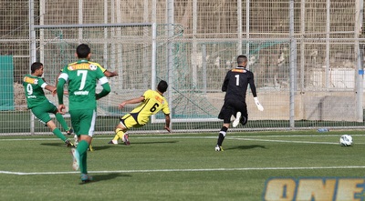 2. גוזלן שולח רוחב, טובלי ממהר לחזור לשערו (עמית מצפה)