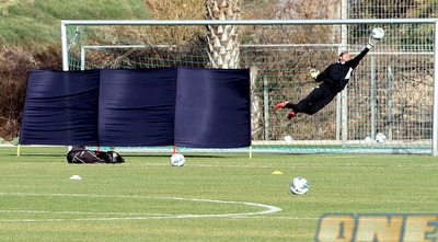 דוידוביץ´ מתעופף (יניב גונן)