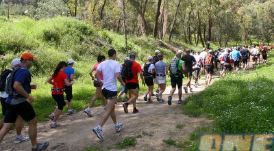 רצים ביערות ישראל (שוונג)