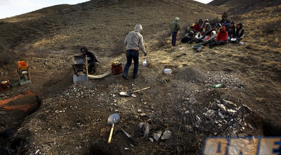 הבהלה לזהב (רויטרס)