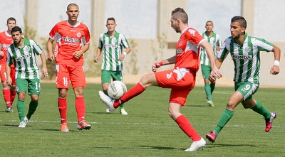 חאיכ לפני גוזלן (משה חרמון)