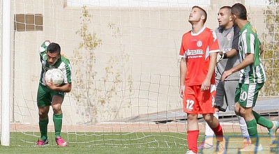 גוזלן ממהר לאמצע (משה חרמון)