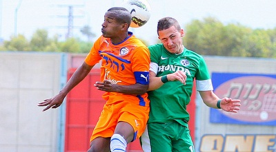 צעדון ובריהון במאבק (משה חרמון)