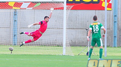 שושן מזנק לכדור של בריהון (משה חרמון)