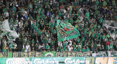 אוהדי חיפה (עמית מצפה)