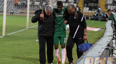 טוואטחה הפצוע (עמית מצפה)