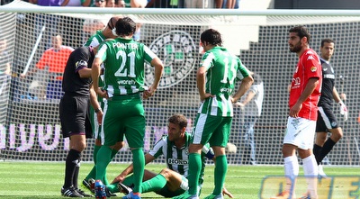 דקל קינן נפצע (שי לוי) דקל קינן נפצע (שי לוי)